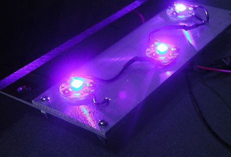 Close-up of blue LEDs