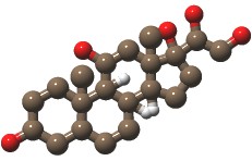 Cortisol