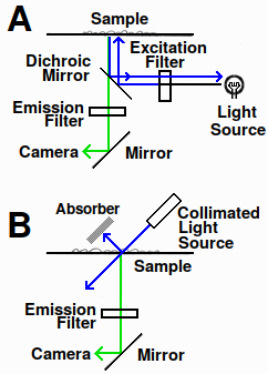 Fluorescence microscope diagram