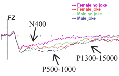 EEG of males and females listening to a joke