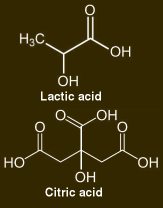 Lactic acid and citric acid