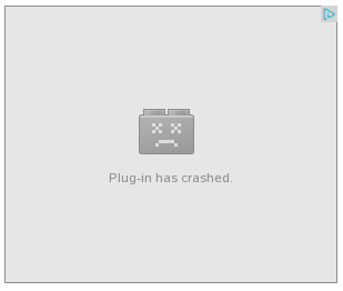 Plugin has crashed