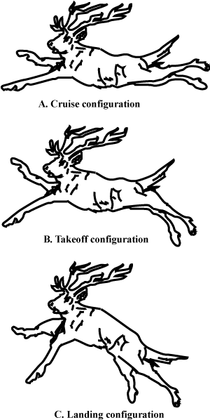 Airfoil configurations for reindeer