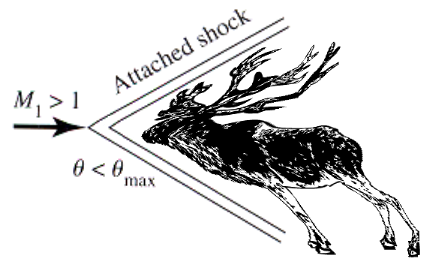 Shockwave for reindeer at Mach 1