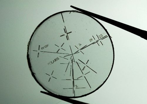 Reticle with radial lines