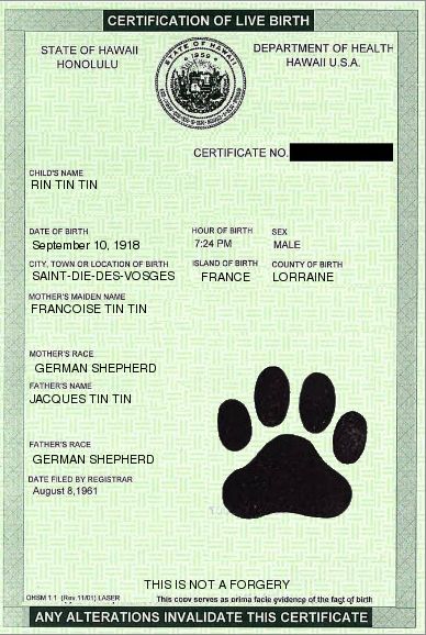 Rin Tin Tin's Birth Certificate