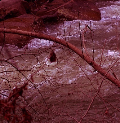 Blood-filled river