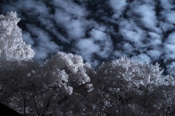 Clouds and sky in infrared