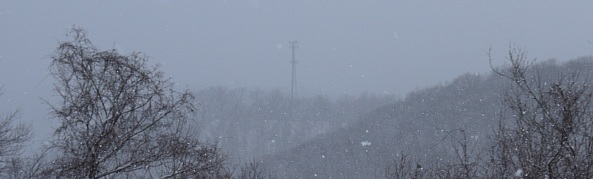 Snow and cell tower