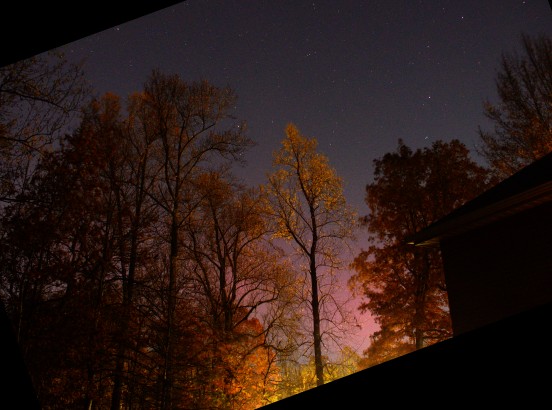 Aurora Nov 12 2025, facing north