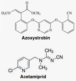 azoxystrobin and acetamiprid