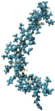 Beta-amyloid