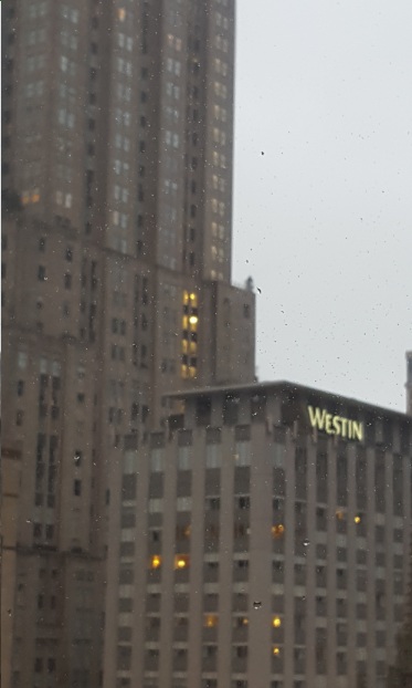 Westin Hotel in Chicago