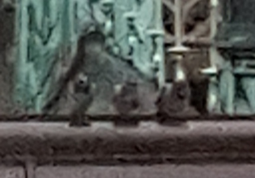 Pigeons on roof of Archdiocese of Chicago