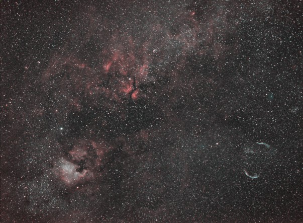 Cygnus Nebulae