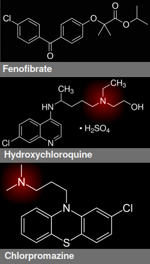Fenofibrate, hydroxychloroquine, and chlorpromazine