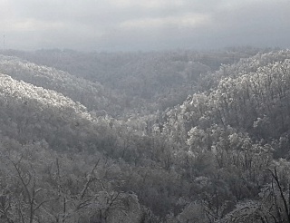 Mountainous wilderness of trees covered in ice