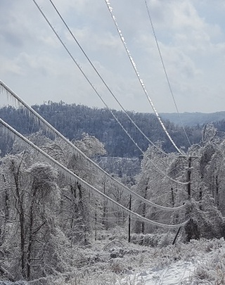 Telephone wires and power lines weighed down by ice