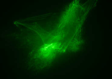 Laser interference pattern