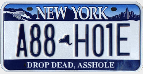 New York License Plate