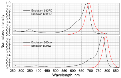 800CW fluorescence spectrum