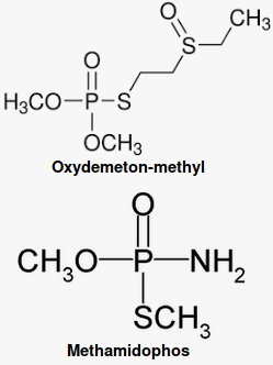 oxydemeton-methyl structure