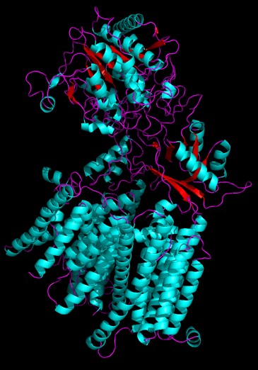 Presenilin 3d structure