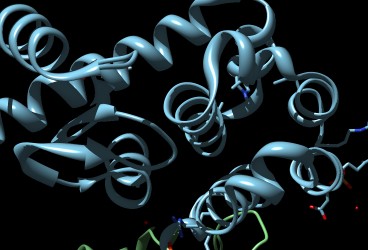 3D structure of a protein