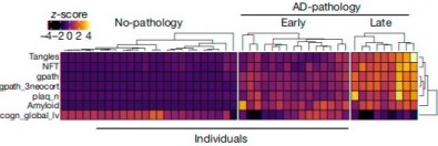 RNA-seq results