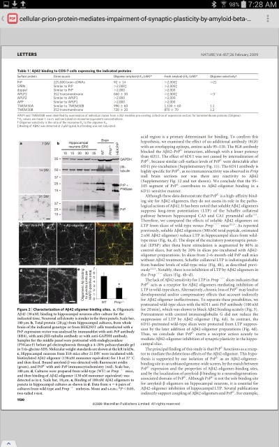 Screenshot of PDF Reader