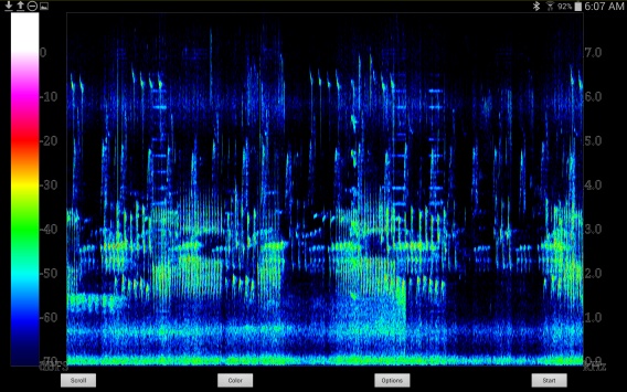 Bird calls captured by SpectralView App