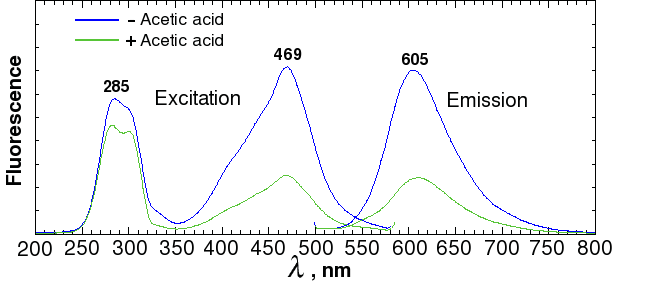 Sypro ruby fluorescence spectrum