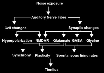 Tinnitus current dogma