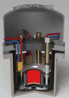 Diagram of traveling wave reactor