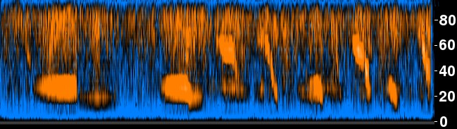 Sonogram of blue whale